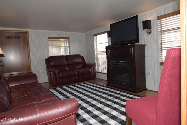 living room featuring crown molding and a fireplace