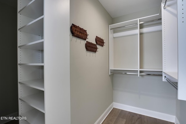 spacious closet featuring dark wood finished floors