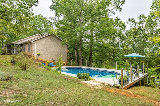 outdoor pool featuring a lawn