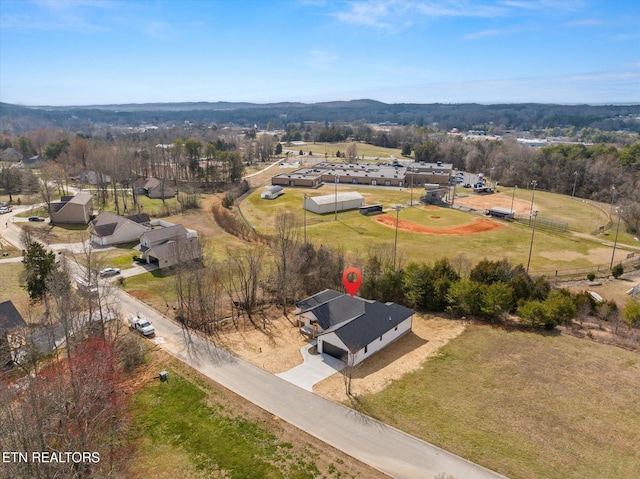 bird's eye view