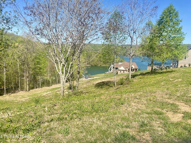 LOT130 Hickory Pointe Ln, Maynardville, TN 37807
