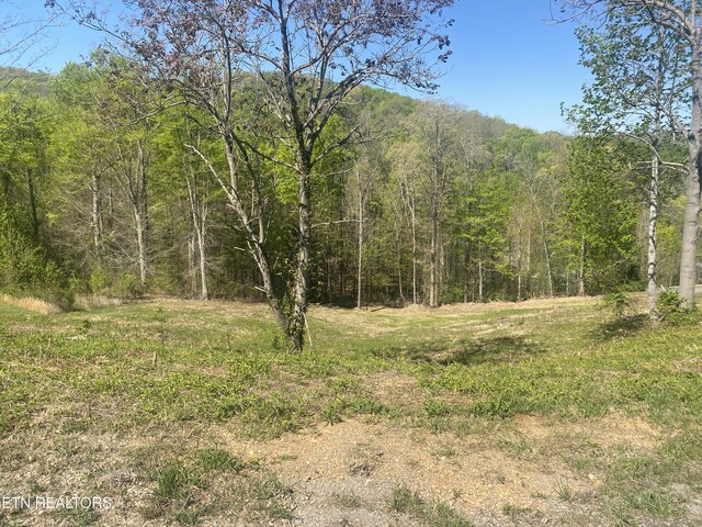 LOT130 Hickory Pointe Ln, Maynardville, TN 37807