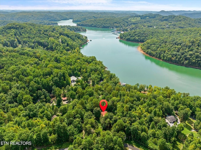 drone / aerial view featuring a water view and a wooded view