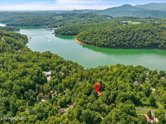 aerial view featuring a water view and a forest view