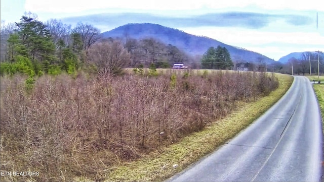 165 Spring Creek Rd, Delano TN, 37325 land for sale