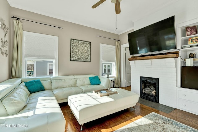 living area featuring ceiling fan, a fireplace, ornamental molding, and wood finished floors