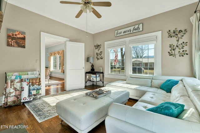 living room featuring ceiling fan, dark wood-type flooring, and crown molding