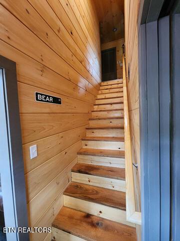 stairs with wooden walls