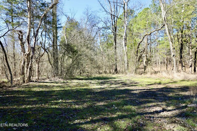 346 Chestuee Rd, Calhoun, TN 37309 - view of landscape with a view of trees