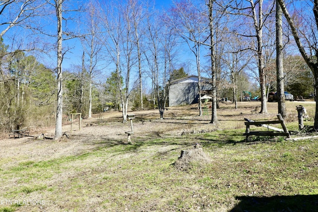 346 Chestuee Rd, Calhoun, TN 37309 - view of yard