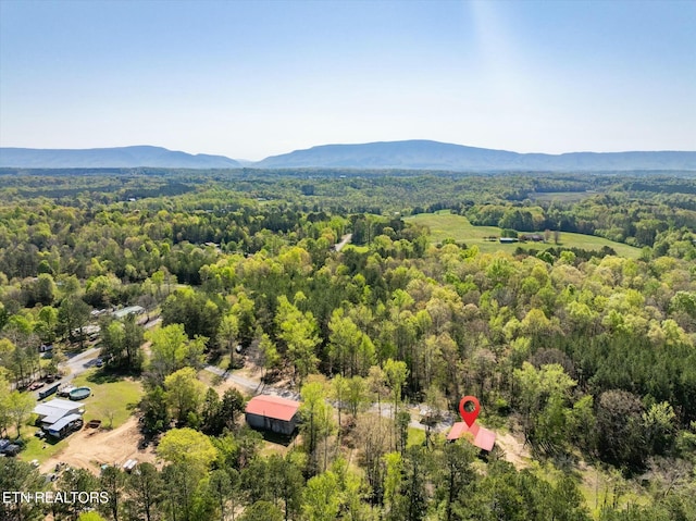 346 Chestuee Rd, Calhoun, TN 37309 - drone / aerial view with a wooded view and a mountain view