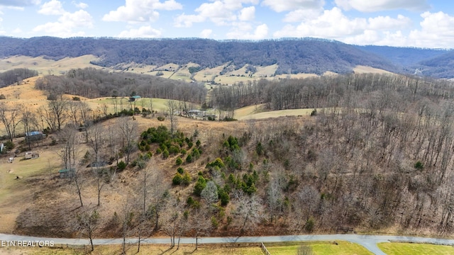 property view of mountains with a wooded view