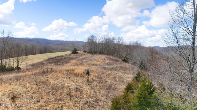view of mountain feature featuring a forest view