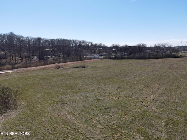Diamond Ridge Dr, Cleveland, TN 37312 - photo 2