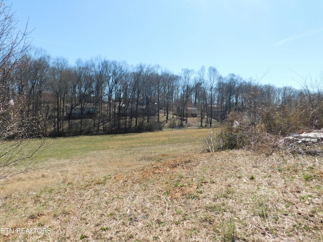 Diamond Ridge Dr, Cleveland, TN 37312 - photo 5