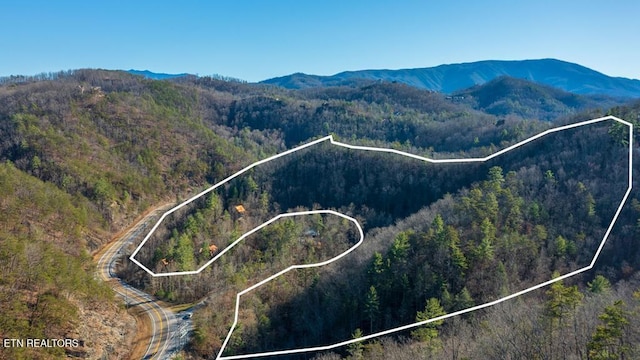 birds eye view of property featuring a mountain view and a wooded view