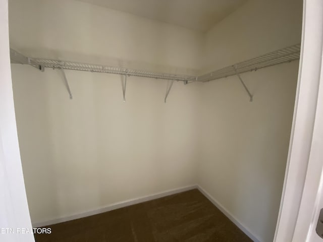 walk in closet with dark colored carpet