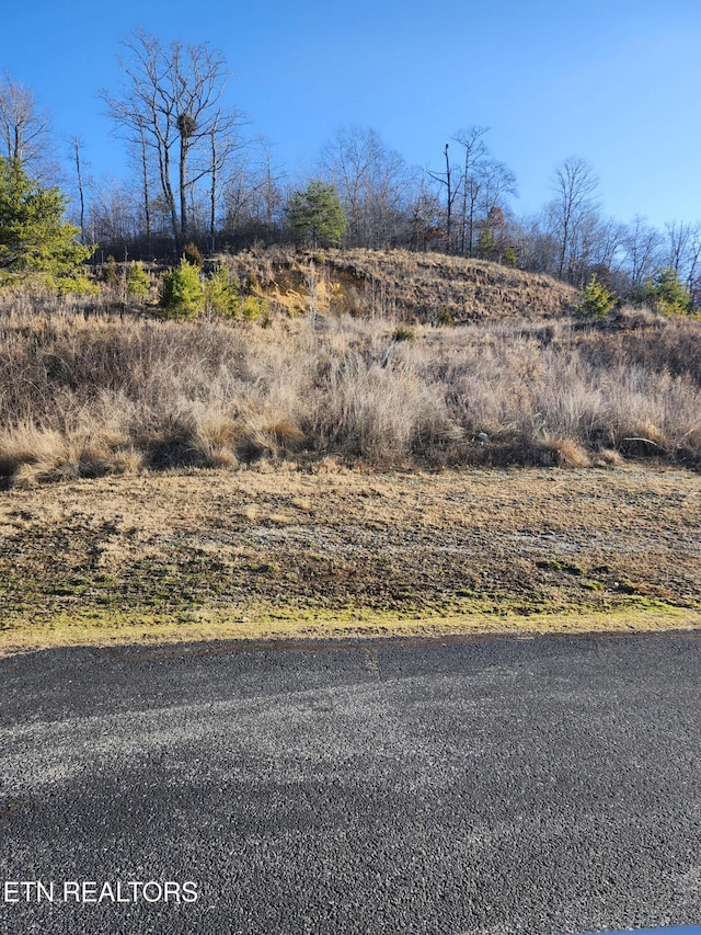 Listing photo 3 for LOT396 W Mountain Dr, Rockwood TN 37854