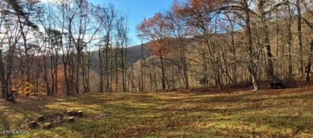 view of landscape with a forest view