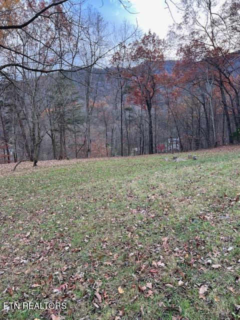 view of yard featuring a wooded view