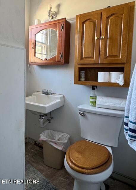 bathroom featuring a sink and toilet