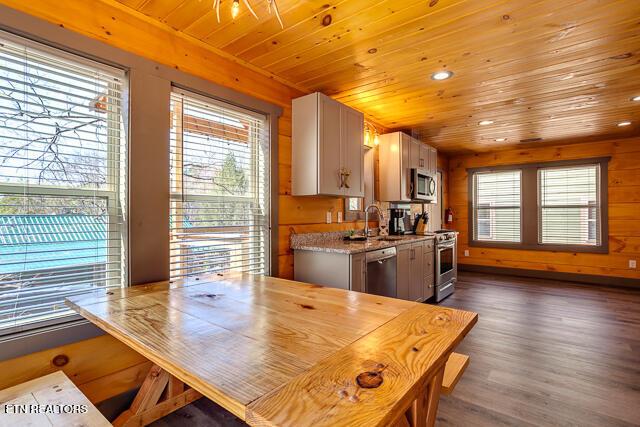 1012 Ravens Ford Way, Sevierville, TN 37876 - kitchen featuring wooden ceiling, plenty of natural light, stainless steel appliances, and dark wood-style flooring