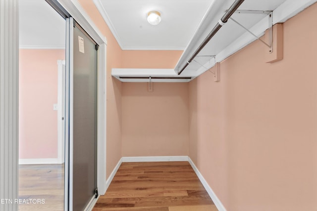 spacious closet featuring wood finished floors