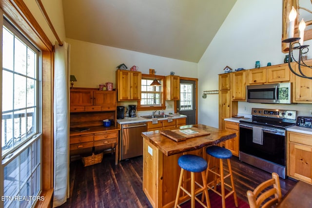 kitchen with appliances with stainless steel finishes, wood counters, and a wealth of natural light