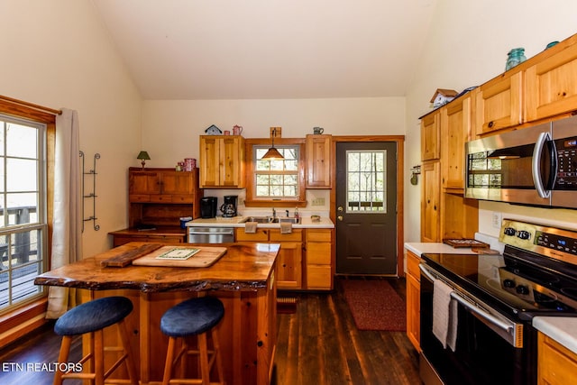 kitchen featuring stainless steel appliances, lofted ceiling, and dark wood-style flooring