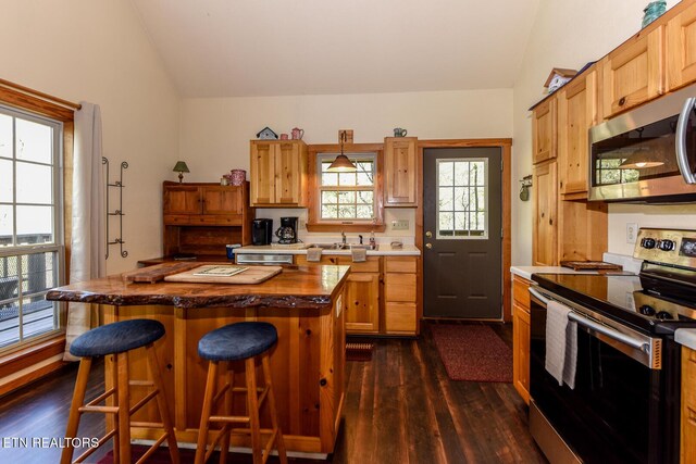 kitchen with stainless steel appliances, lofted ceiling, dark wood-type flooring, a kitchen island, and a kitchen bar