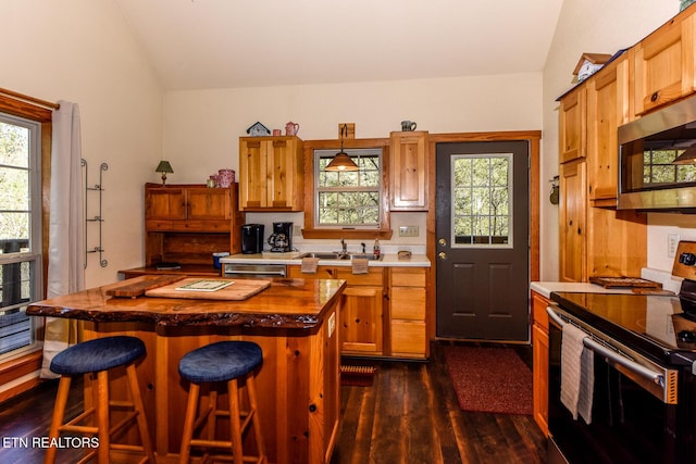 kitchen featuring appliances with stainless steel finishes, plenty of natural light, a sink, and dark wood-style floors