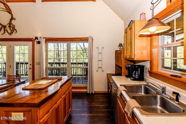 kitchen with dark wood-style flooring, a sink, wooden counters, hanging light fixtures, and stainless steel dishwasher