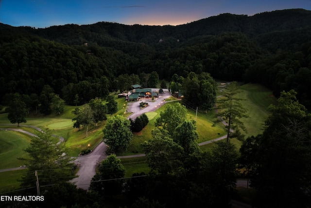 aerial view at dusk with a forest view