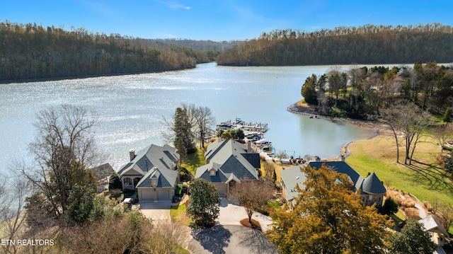 birds eye view of property featuring a water view and a view of trees