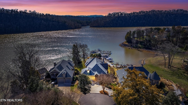 aerial view at dusk featuring a water view and a view of trees