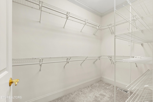 spacious closet featuring carpet and visible vents