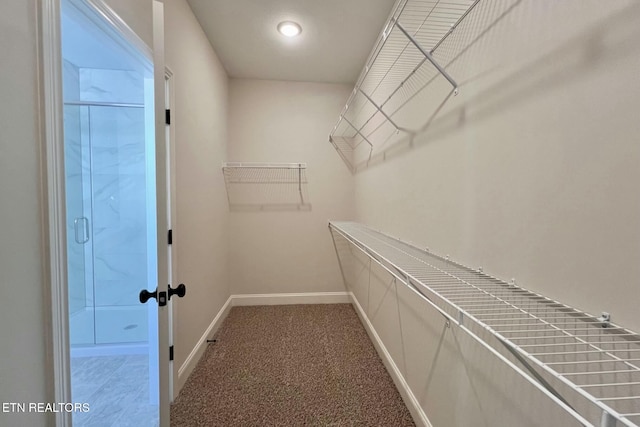 spacious closet featuring carpet flooring