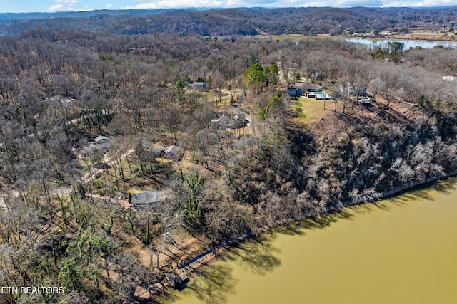 aerial view with a view of trees and a water view