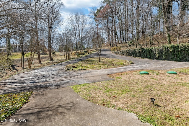 view of yard with aphalt driveway