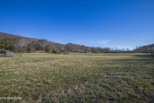 view of mountain feature featuring a rural view and a view of trees