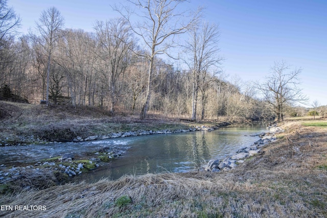 property view of water featuring a forest view