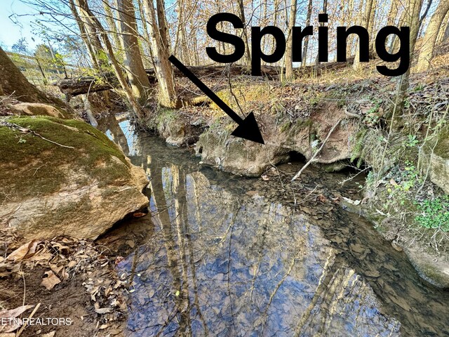 383 County Road 651, Athens, TN 37303 - photo 4