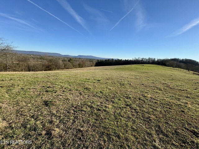 383 County Road 651, Athens, TN 37303 - photo 6