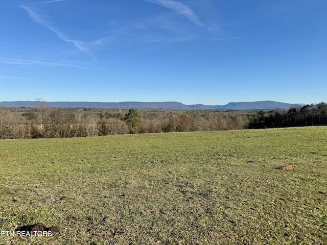 383 County Road 651, Athens, TN 37303 - photo 8