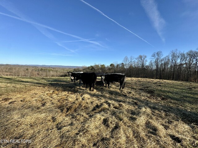 383 County Road 651, Athens, TN 37303 - photo 13