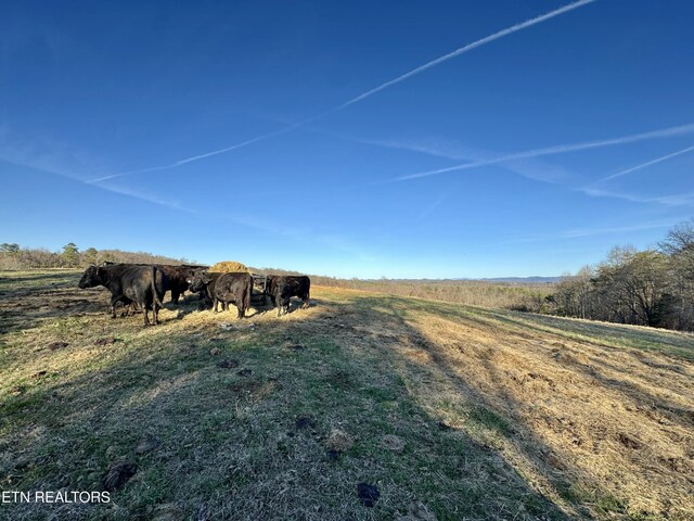 383 County Road 651, Athens, TN 37303 - photo 14