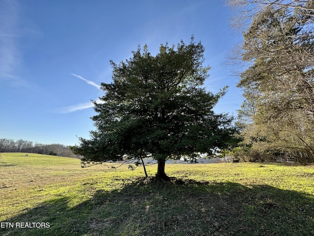 383 County Road 651, Athens, TN 37303 - photo 15