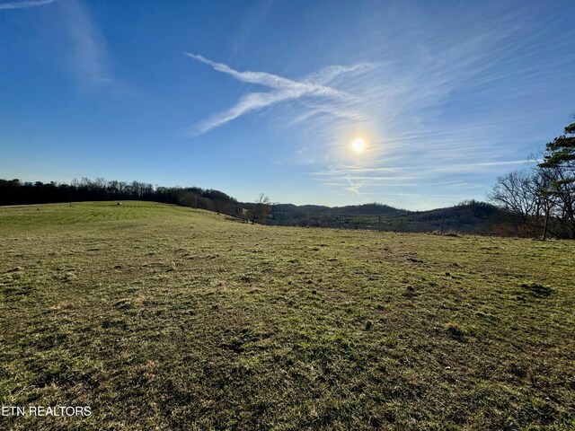 383 County Road 651, Athens, TN 37303 - photo 16