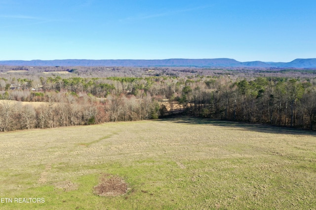 383 County Road 651, Athens, TN 37303 - photo 24