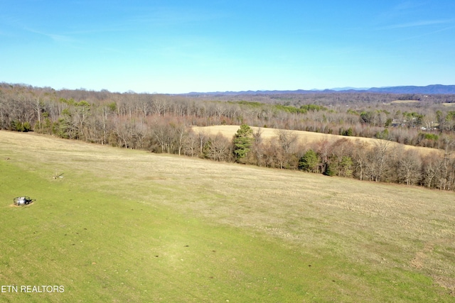 383 County Road 651, Athens, TN 37303 - photo 25